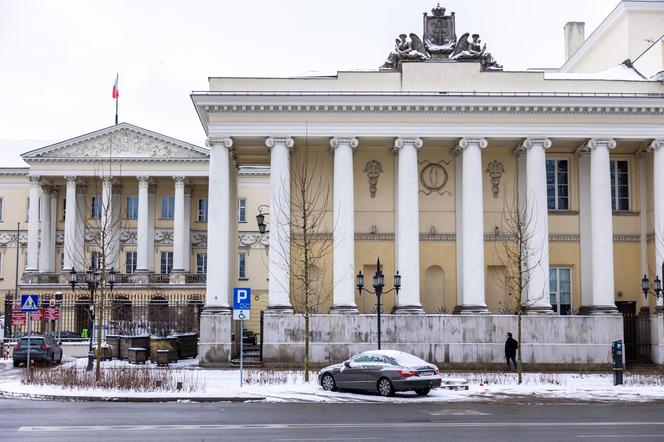 Nowe drzewa i krzewy na placu Bankowym w Warszawie