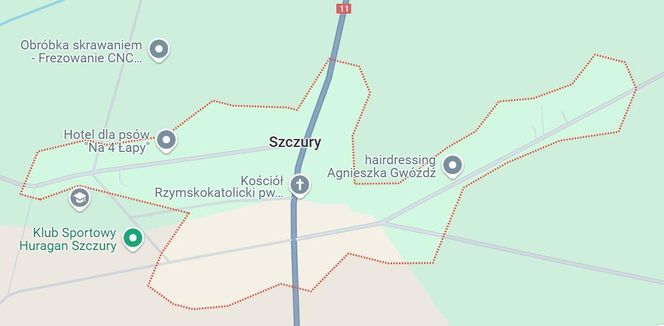 Szczury