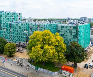 Osiedle TBS na Ochocie projektu JEMS Architekci