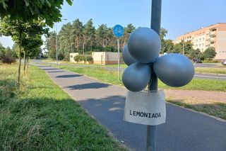 Komu lemoniadę na ochłodę? Sympatyczna akcja dzieci w Lesznie