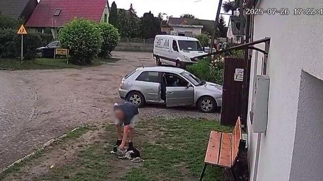 Złapał psa i rzucił nim o ziemię. Wstrząsające nagranie obiegło sieć