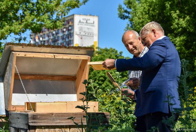 Wiosenne miodobranie w Białymstoku