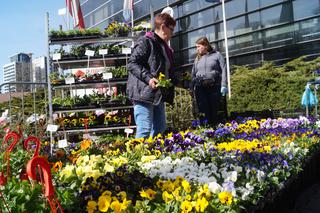 Wiosenny Kiermasz Ogrodniczy w Bydgoszczy [ZDJĘCIA]