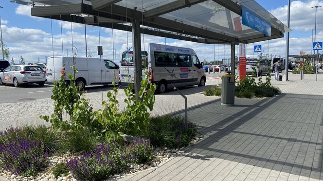 Tak wygladają ogrody deszczowe na parkingu przed terminalami Katowice Airport