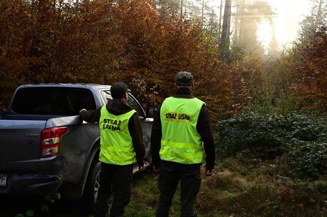 Opolscy leśnicy wraz z policją kontrolują lasy!