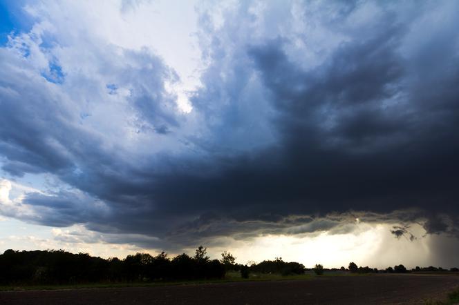 Czerwony alarm meteo w Polsce. Prognoza ostrzeżeń IMGW nie zostawia złudzeń [16.02.2022]