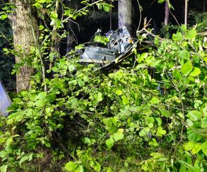 Kierowca seata nie żyje. Auto roztrzaskało się na drzewie. Tragiczny wypadek na DK 65