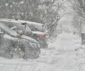 Śnieg i mróz w Polsce 2023! Atak zimy jeszcze w tym tygodniu