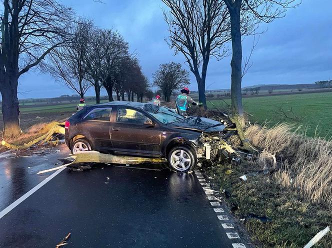 Osobówka wjechała w połamane drzewo! O krok od tragedii pod Żninem 