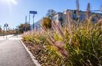 Park linearny na Bielanach w Warszawie