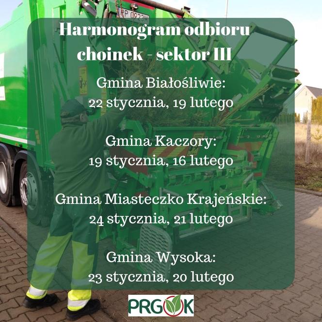 Znamy tegoroczny harmonogram odbioru choinek