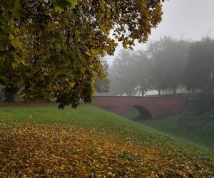 Zamojski Park jesienią