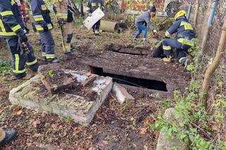 Lubelscy strażacy musieli wyciągnąć z szamba...konia.  Zdjęcia robią wrażenie!