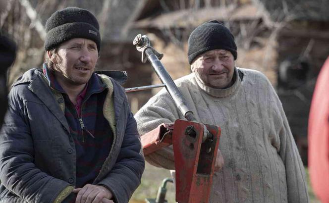 Rolnicy z Podlasia wrócili! Nowe problemy, radości i uczestnicy