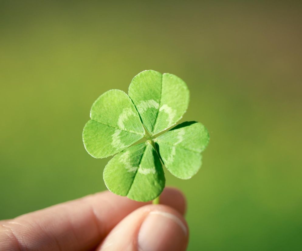 Japoński test sześcianu