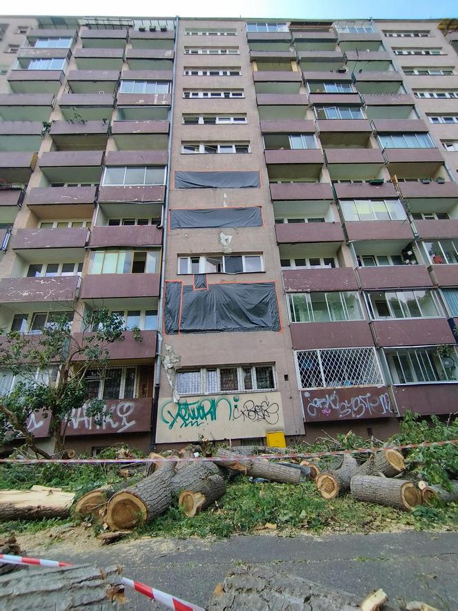 Wielkie drzewo runęło im na blok. „Widziałam, jak na mnie leci!”