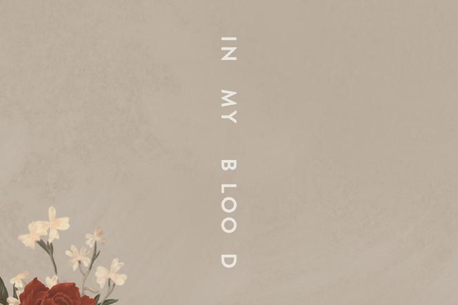 Nowości Muzyczne 2018: Shawn Mendes wrócił! In My Blood hitem wiosny 2018?