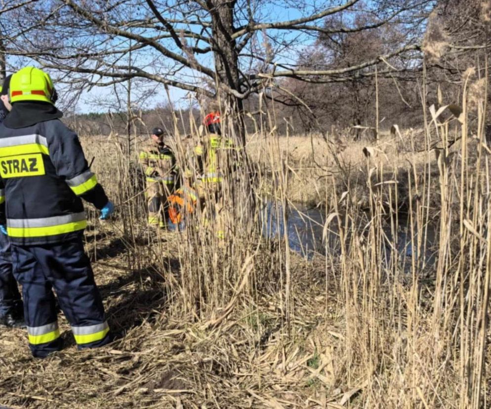 Tragedia w woj. lubelskim. Strażacy wyłowili zwłoki mężczyzny z Wieprza