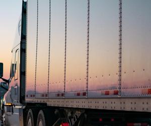 Z Etiopii do Włocławka. Ukryli się w naczepie