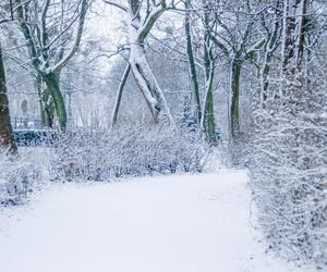 Dwucyfrowe mrozy i marznące mgły to nie wszystko. Najnowsze prognozy