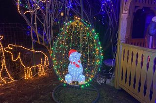 Niewielki ogródek pod blokiem niczym mini Las Vegas. To wyjątkowe miejsce w Zielonej Górze 