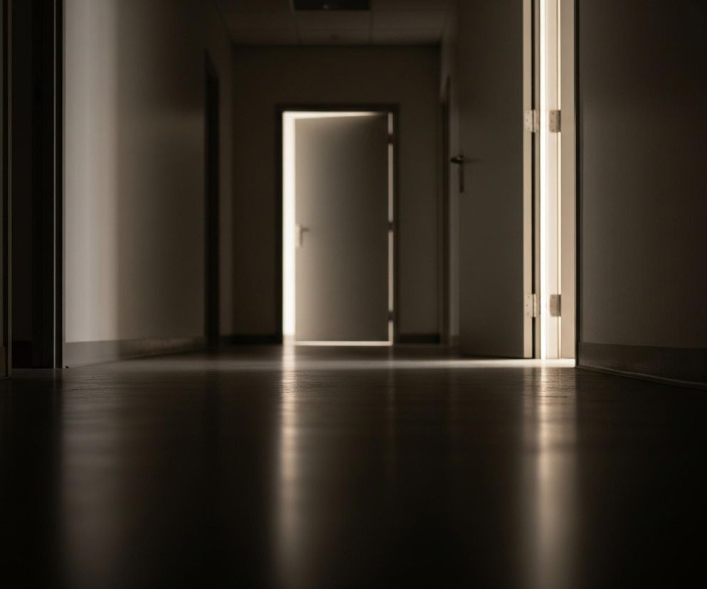 Długi, ciemny korytarz rozciąga się w głąb obrazu, z dwiema częściowo otwartymi drzwiami, z których wydobywa się jasne światło. Podłoga w kolorze ciemnego brązu jest błyszcząca i odbija światło z drzwi, tworząc podłużne refleksy. Ściany korytarza po obu stronach są szare, jednakże prawa strona jest wyraźnie jaśniejsza od lewej, która pozostaje niemal całkowicie w cieniu. W oddali widać sufit z ciemnymi panelami i niewyraźnym kształtem prostokątnej lampy.