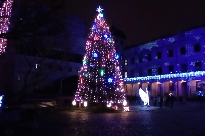 Skromne iluminacje świąteczne w Szczecinie