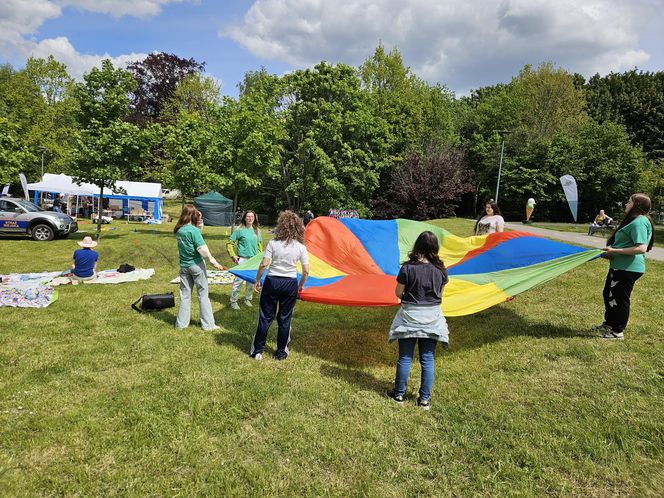 Festiwal Przyjaciół Zwierząt w Olsztynie. Park Centralny opanowały radosne pieski