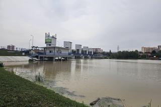 Stan rzek na Podkarpaciu po ulewach. Czy jest zagrożenie? 