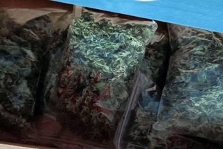 Policjanci z Koszalina przechwycili narkotyki warte pół miliona złotych