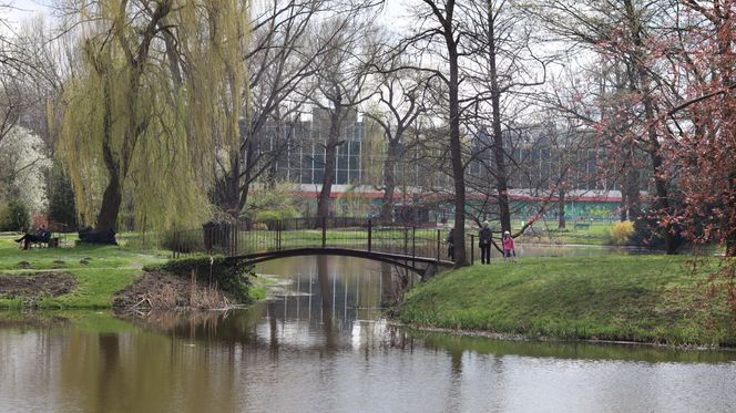 Ogród Botaniczny w Lublinie otwarty! Wszędzie widać wiosnę