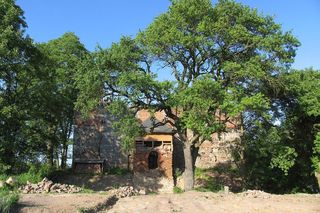 Ruiny zamku w Nowym Jasieńcu