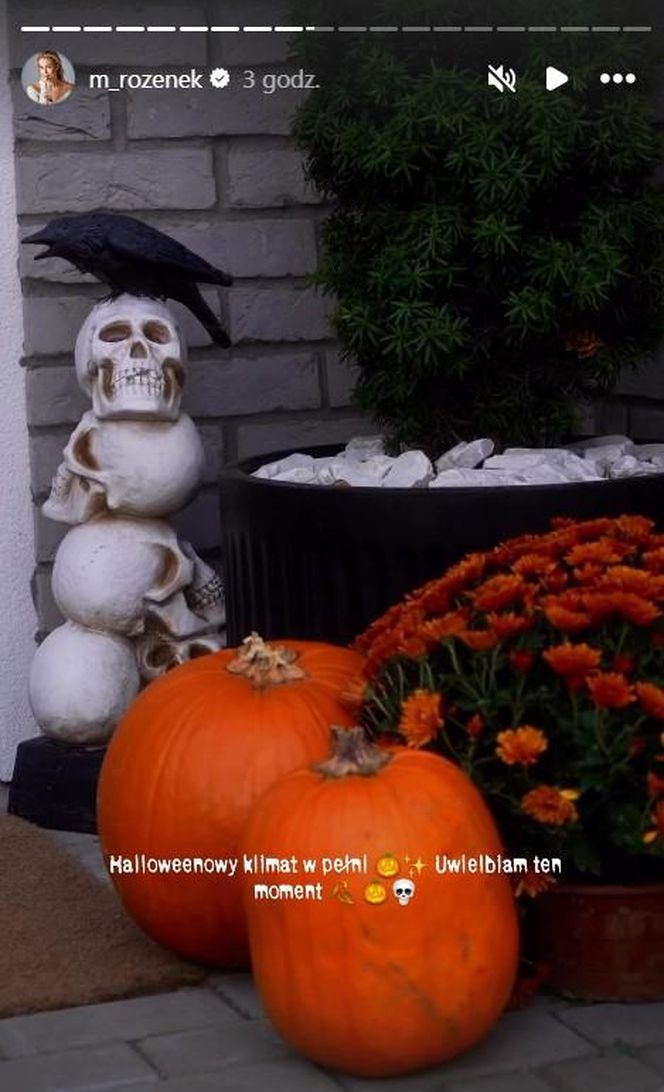 Małgorzata Rozenek-Majdan