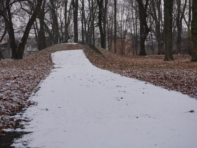 Pierwsze opady śniegu w listopadzie 2024 w dzielnicy Bronowice w Lublinie