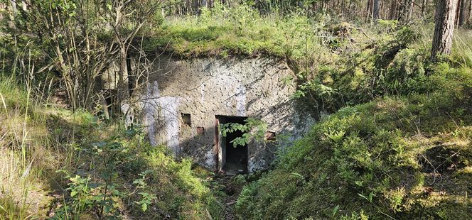 Odwiedziłam jeden z piękniejszych powiatów na Mazurach. To prawdziwy „szlak bunkrowy”