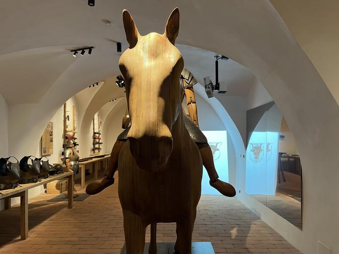 Zamek Pardubice - zdjęcia cennego zabytku Wschodnich Czech. Wnętrza, muzeum, zamek nocą