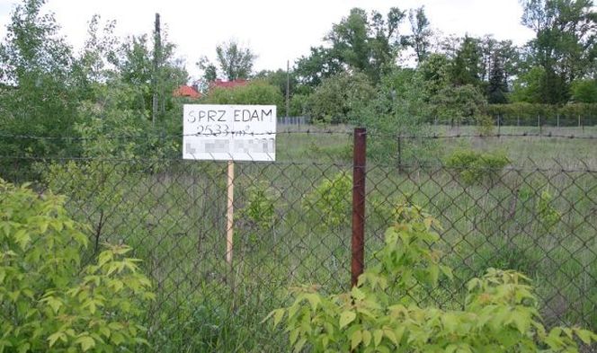 Działka, projekt, budżet