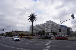 Zaczął się remont warszawskiej palmy. Atrakcja turystyczna została otoczona ogrodzeniem