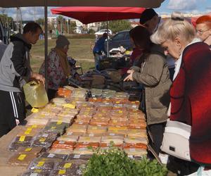 Piknik Wiejskiej Żywności, czyli radosne biesiadowanie w Fordonie [ZDJĘCIA] 