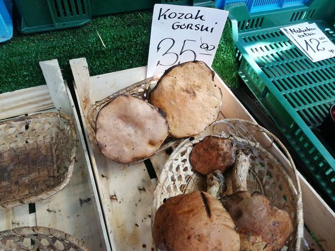 Ile kosztują grzyby w Krakowie? Ceny na targowiskach przyprawiają o zawrót głowy