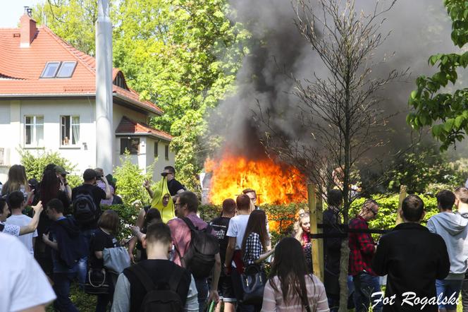 Wrocław: Pożar na pochodzie juwenaliowym [ZDJĘCIA]