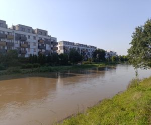 Stan rzeki Ślęza cały czas się podnosi. Przekroczono już stan alarmowy. Jak wygląda sytuacja?