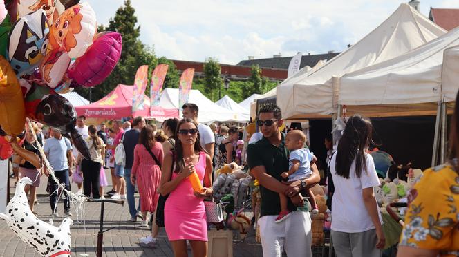 Cukier skakał od samego patrzenia! Tak w Lublinie wyglądał Bajkowy Festiwal Słodkości i Smaku