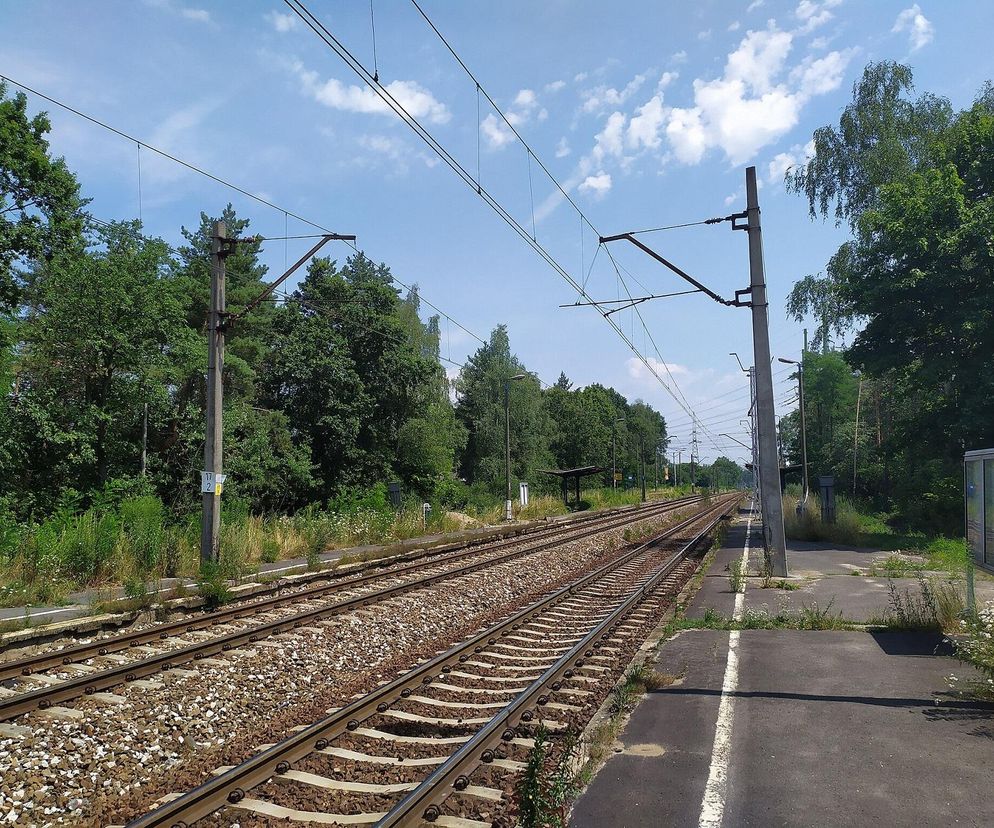 Utrudnienia na kolei w Małopolsce. Drzewo zerwało sieć, pociągi stoją na trasie Skawina – Sucha Beskidzka