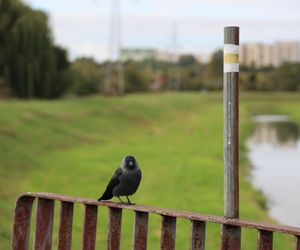 Jesienna odsłona terenów nad Bystrzycą w Lublinie. Tak się prezentuje w październiku