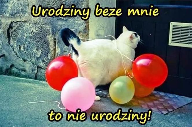 MEMY na urodziny! Zobacz najśmieszniejsze obrazki w internecie [GALERIA]