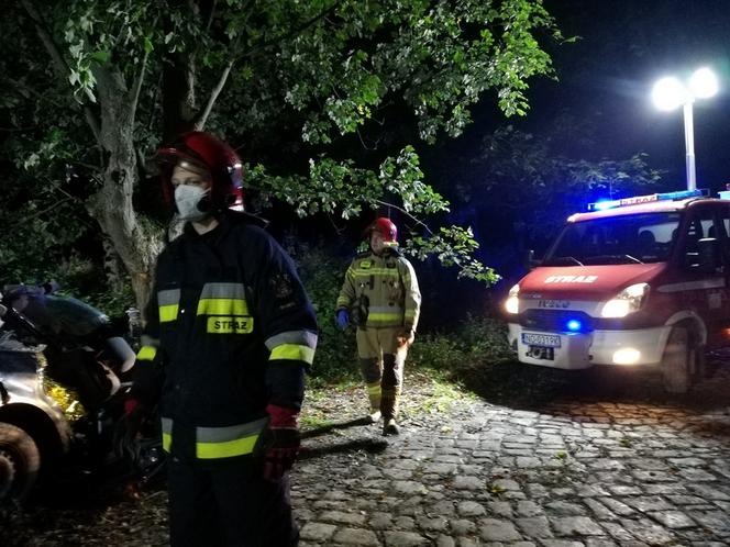 Tragiczny wypadek pod Braniewem. Audi wbiło się w drzewo. Nie żyje 19-latek [ZDJĘCIA]
