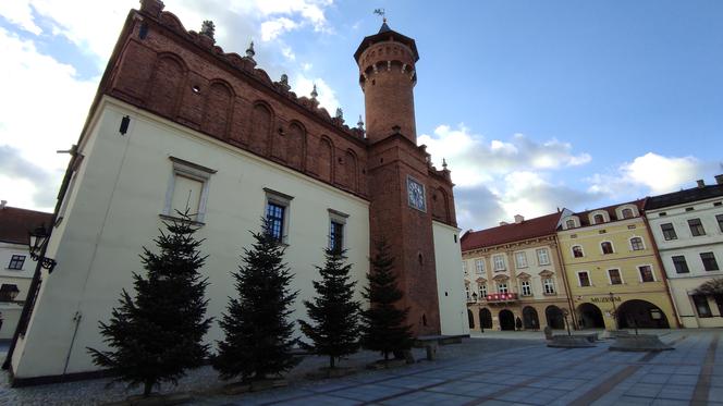 Choinka na Placu Kazimierza w Tarnowie
