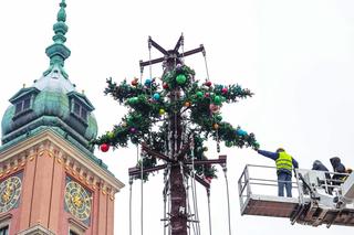27-metrowa choinka stanie na pl. Zamkowym. To niezwykła iluminacja