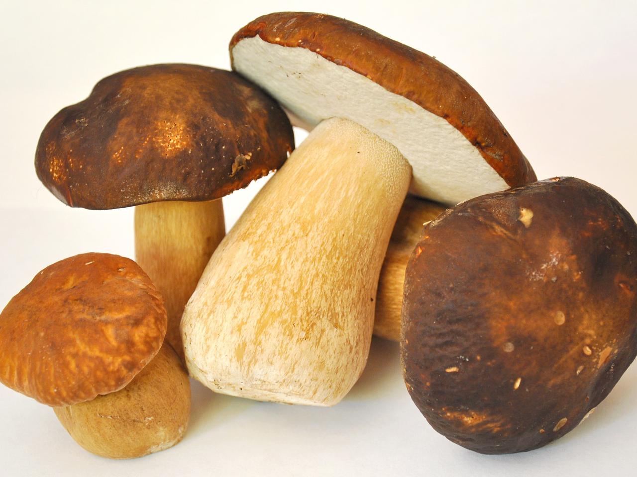 Polędwiczki z prawdziwkami - pomysł na obiad [przepis na borowiki]